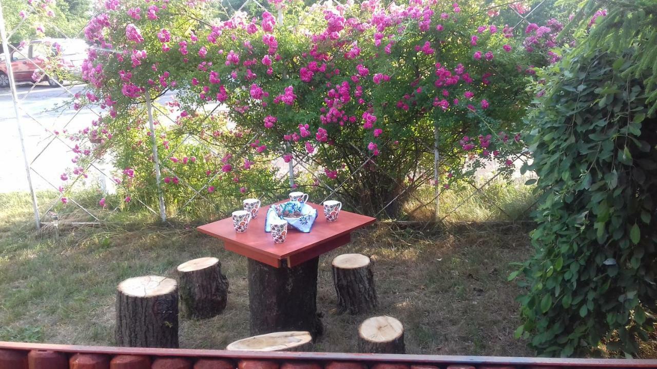 Ferienwohnung Dom Na Ludowo W Brzeznicy Brzeznica  Exterior foto